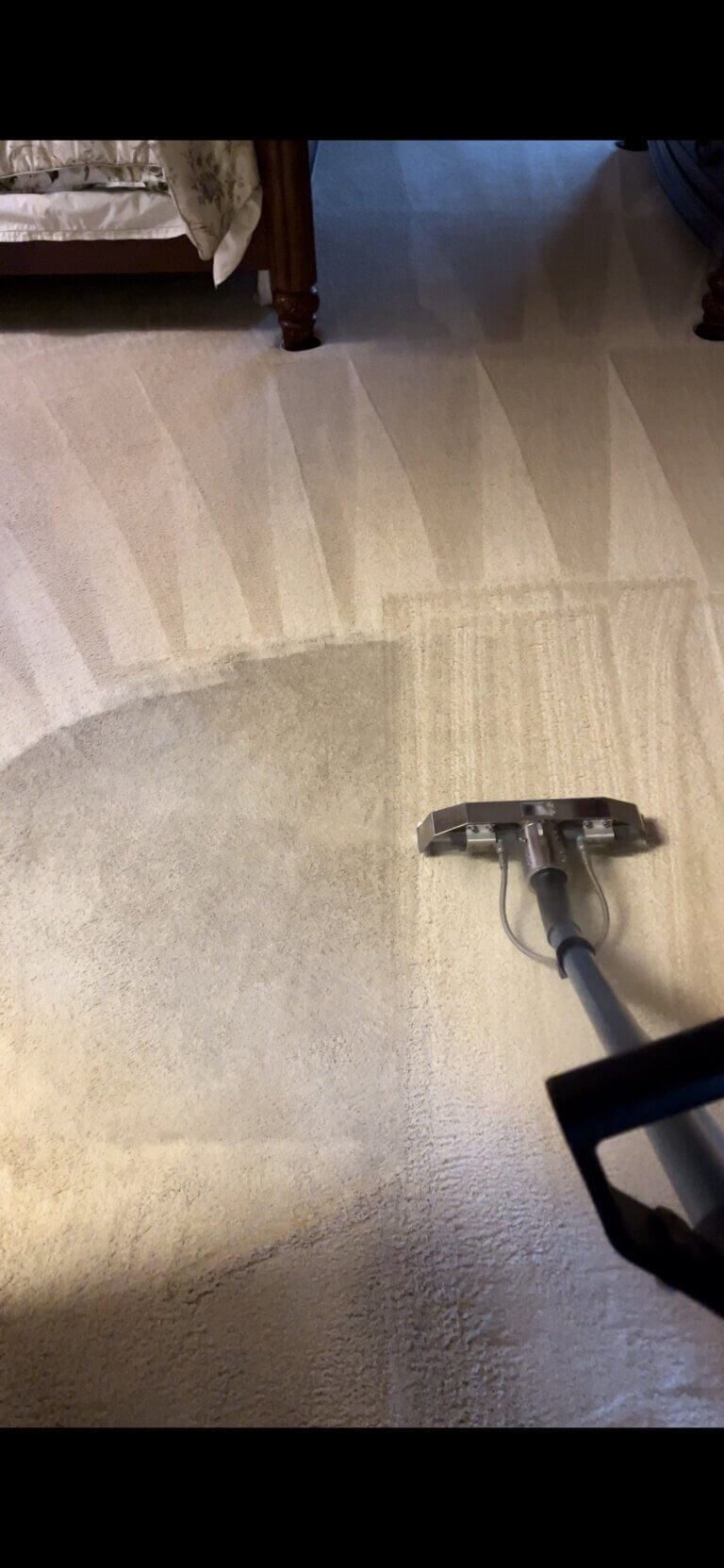 The Best Carpet & Tile Cleaners - Call For A Free Quote!