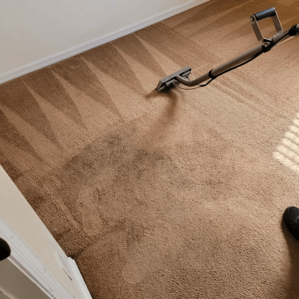 The Best Carpet & Tile Cleaners - Call For A Free Quote!
