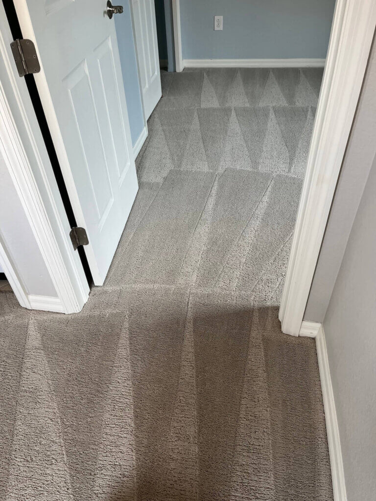 The Best Carpet & Tile Cleaners - Call For A Free Quote!